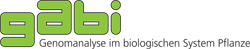Ministerium für Bildung und Forschung